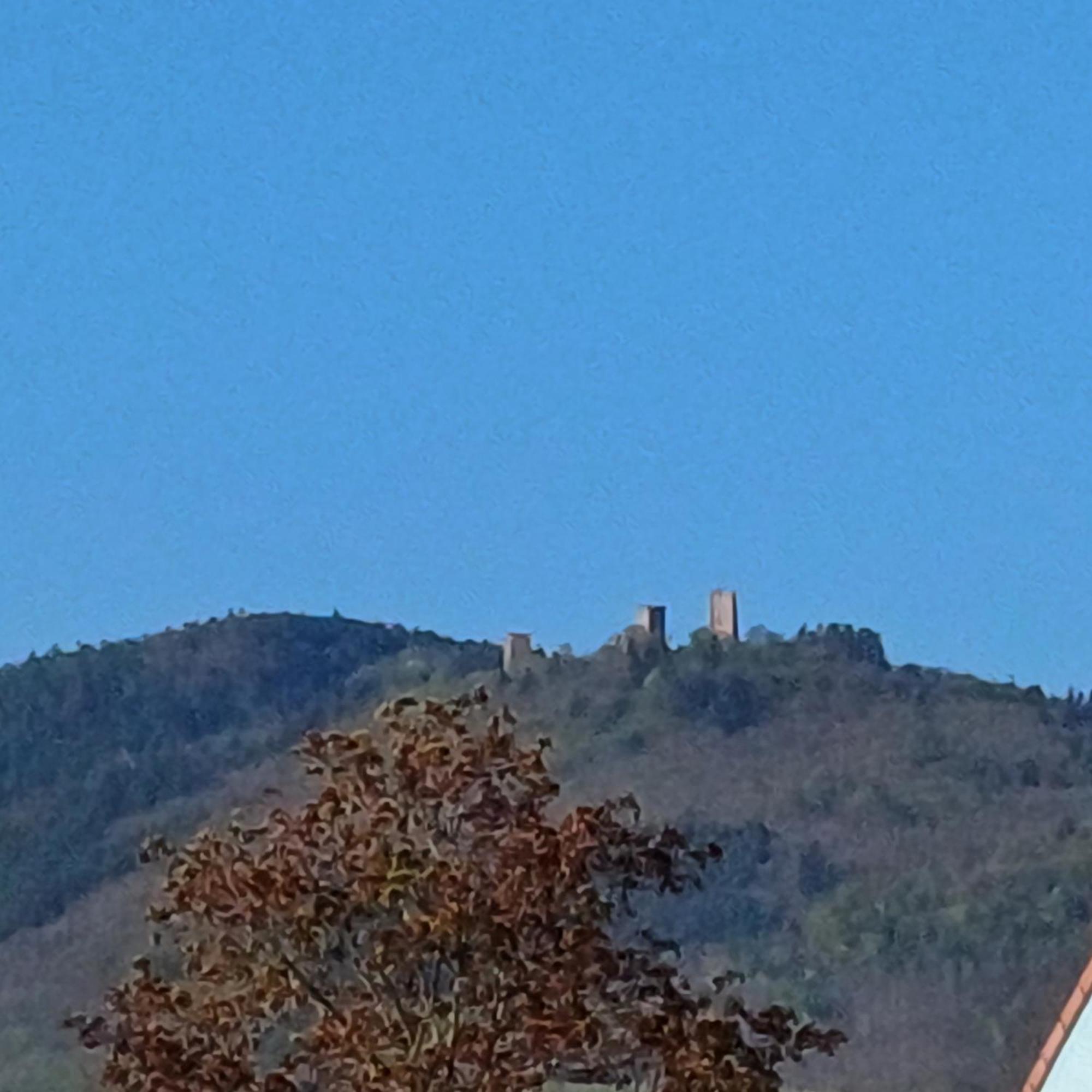 Hotel Les Vignobles D'Alsace Wintzenheim Exterior foto