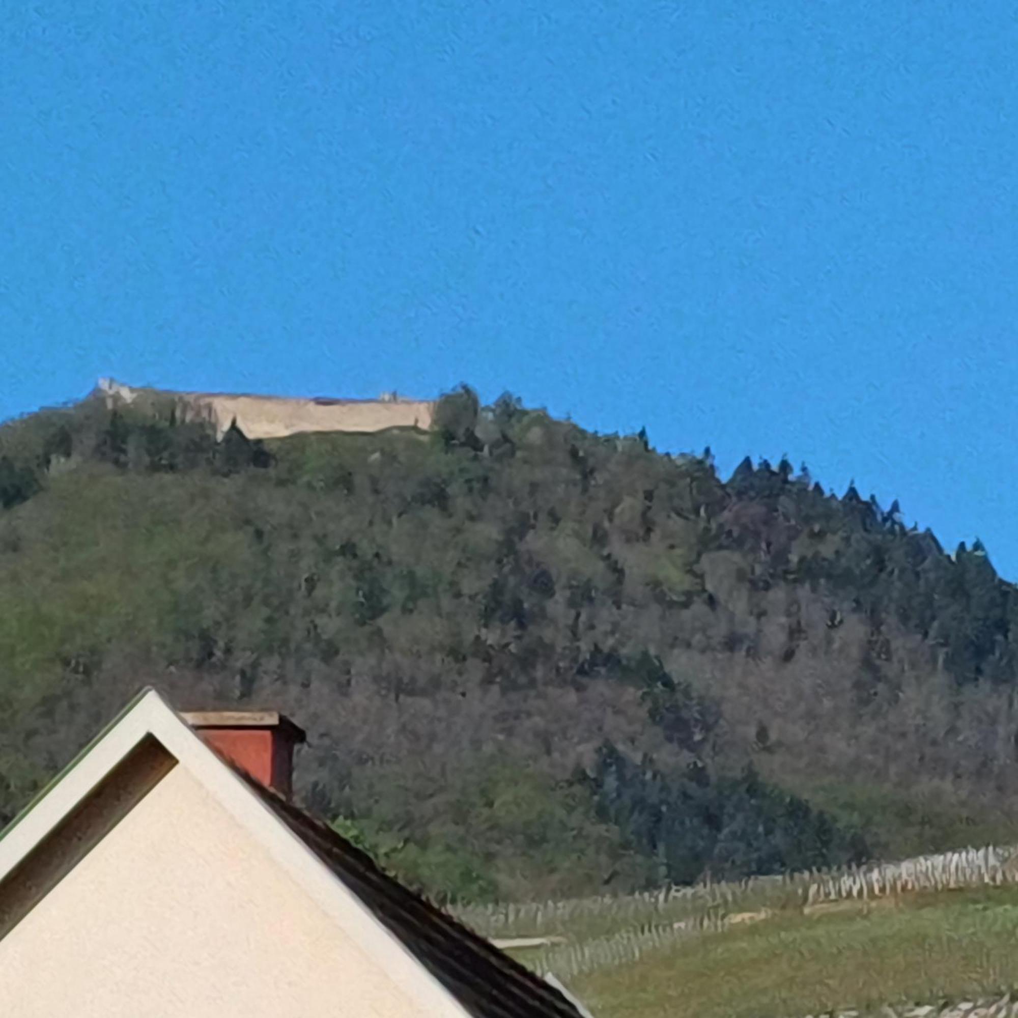 Hotel Les Vignobles D'Alsace Wintzenheim Exterior foto